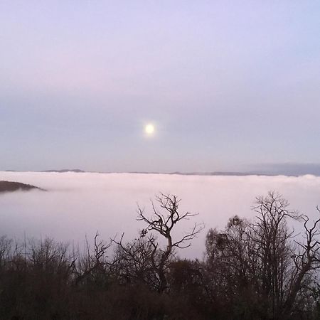 Un Giardino Sul Lago Montefiascone Luaran gambar