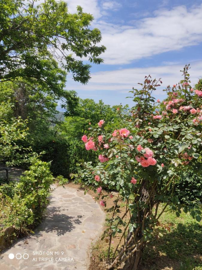 Un Giardino Sul Lago Montefiascone Luaran gambar