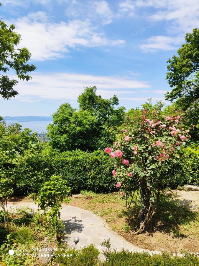Un Giardino Sul Lago Montefiascone Luaran gambar