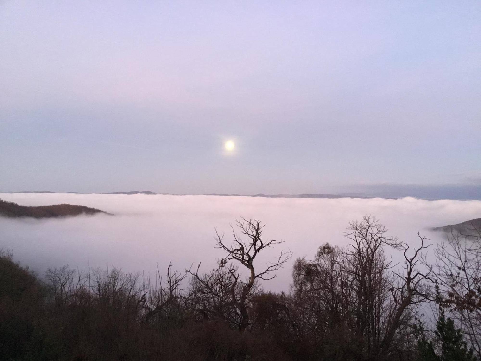 Un Giardino Sul Lago Montefiascone Luaran gambar